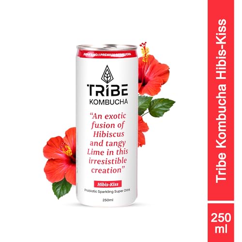 Image of Tribe Kombucha Probiotic Super Drink | Supports Gut Health | Gluten-Free | Naturally Fermented | Super Refreshing | Gut Friendly | Improves Blood Sugar | Antioxidant and Hydration | No Added Sugar | 250 ML X 6 (HIIIBISCUS)