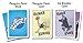 Moose Master and Penguin Panic 2 Pack Bundle - Party Card Games - Have Fun Making Your Friends Laugh - for Fun People Looking for a Hilarious Night in a Box