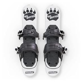 Amazon.co.jp: スキー板: スポーツ＆アウトドア