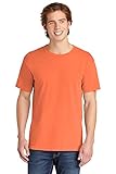Comfort Colors Men's Adult Short Sleeve Tee, Style 1717