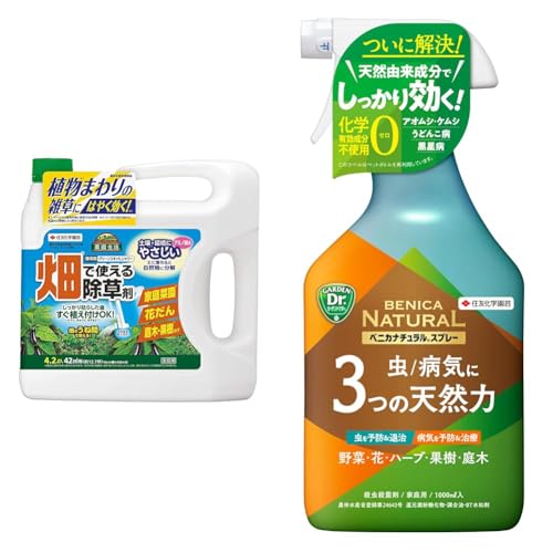 yZbgzZFw|  O[XLbgV[4L+EEۍ xjJi`Xv[ 1000ml