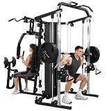 SunHome Dual-Station Smith Machine