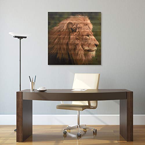 Empire Art Direct Lion 2, 36 In. X 36 In. X 1.5 In, Brown #TOP2