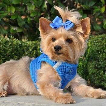Choke Free Reflective Step in Ultra Harness American River and Colors (XXS, Royal Blue)