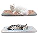 Pet Prime Katzen Fensterbank Liegekissen, Fensterliege für Katzen, Wärmehaltendes Fensterbrett Katzenbett, rutschfest mit 2 Bezügen, 90 x 28 cm, Machinenwaschbar, grau, Warm & kühl