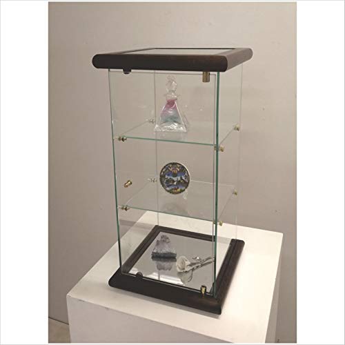 VM ART DESIGN GLASS Vitrina expositora VM109T (Dark Wood) Cover