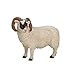 MOJO Black Faced Sheep (Ram) Toy Figure