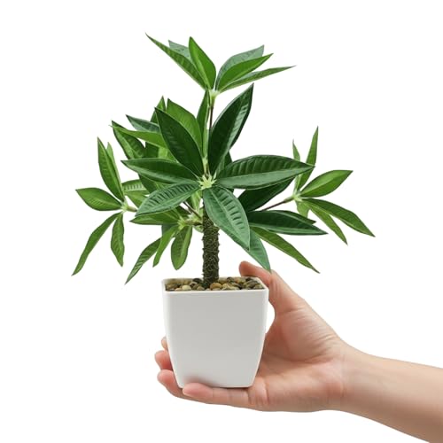 Image of KARP Artificial Potted Plants, 28Cm Height Faux Money Plant /Tree with White Pot Home Decor, Indoor Artificial Ornamental Plants for Living Room, Office Desk & Bathroom, Decorative