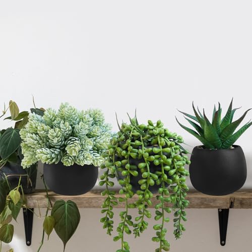Winlyn Set of 3 Artificial Succulent Plants in Black Concrete Pots Faux Aloe Hops String of Pearls Potted Plants Small Fake Plants Desk Plants for Home Office Desk Kitchen Bathroom Shelf Windowsill - Image 4