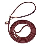 DUREVOLE E DUREVOLE ： Il guinzaglio è molto robusto e resistente, quindi è perfetto sia che tu stia camminando o facendo un'escursione in montagna o semplicemente camminando per strada.