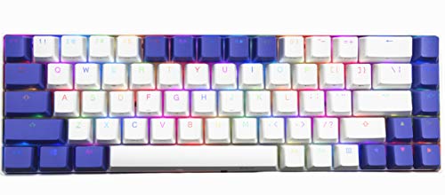 KKV 65% Mechanical Keyboard with RGB LED Backlit & PBT Keycaps - Clicky Optical Switch - Mini Wired Type-C Cable 68 Keys Gaming Keyboard for PC/Mac Gamer, Typist (Kailh Box Brown Switch, White&Purple)