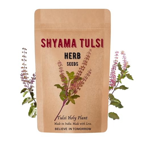 Navika Seeds ; Grow with Us Rama & Shyama Tulsi Seeds for Planting|Tulsi Holi Plant Seeds for Gardening|Indian Tulsi Plant Seeds for Home Gardening & Planting Pack of 2