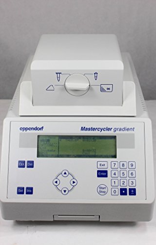Eppendorf Mastercycler 5331