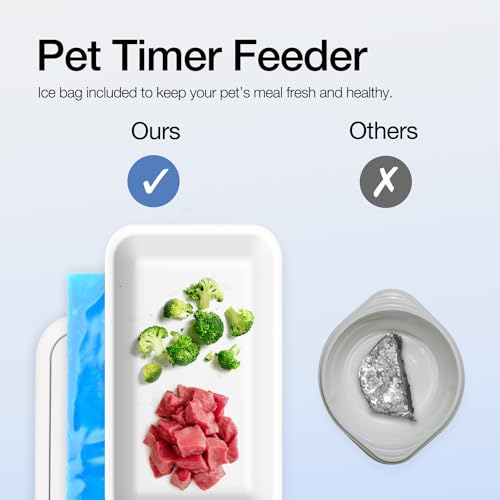 ALL FOR PAWS Automatischer Katzenfutterspender 2 Mahlzeit Hundefutterspender mit Eisbeutel, Für Trocken- und Nassfutter geeignet mit 48-Stunden-Timer, Spülmaschinenfest, (1-Mahlzeiten-Futterspender)