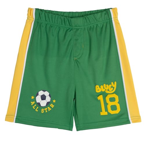 Image of Bluey T-Shirt and Mesh Shorts Outfit Set Infant to Big Kid Sizes (12 Months - 10-12)