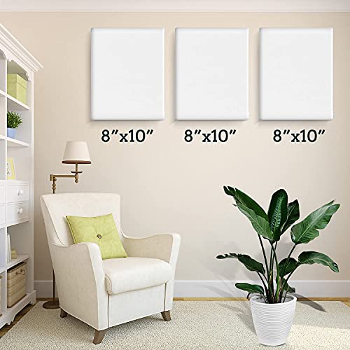 20 Pack Canvases For Painting With 8X10, Painting Canvas For Oil & Acrylic Paint. #TOP5
