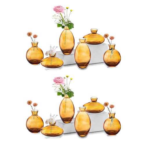 Bud Vases Glass EylKoi Mordern