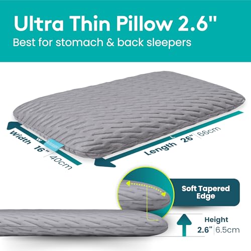 Image of BLISSBURY Thin 2.6 inch Stomach Sleeping Memory Foam Pillow. Slim, Flat, Cooling Sleep for Belly or Back with Soft Bamboo Washable Cover, Neck and Head Support for Men and Women Bedding Accessories