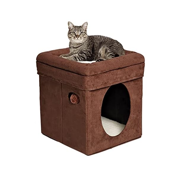 Midwest Curious Cat Cube, Katzenhaus/Katzenhaus