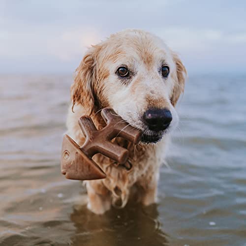 Benebone 2-Pack Indestructible Fishbone/Wishbone Dog Chew Toys - Image 4