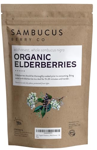 Waterglider International Certified USDA - 100% Organic Dried Elderberries - 1lb Bulk - Non-Irradiated, Non-GMO, Wild Harvest, Whole Black Elderberry Immune Support - Raw Vegan Sambucus 1 Pound
