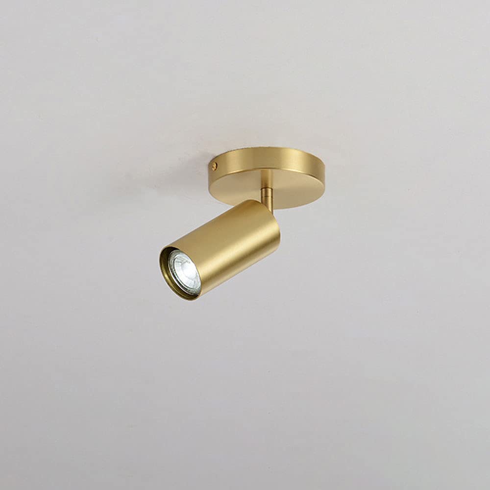 HPTHLY Brass Ceiling Spotlight, Surface Mounted Accent Spots Lamp, Simple Brass Ceiling Mount Light Fixtures, Copper Directional Spotlights For Living Room (1Light)