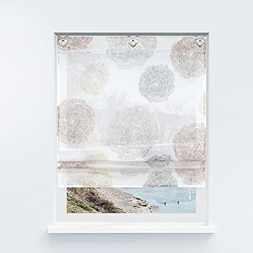 Yujiao Mao Store Bateau en Voile sans perçage avec Cercles imprimés, Design à œillets, avec Crochets, Rideau Transparent, café, 140 x 140 cm (l x H)