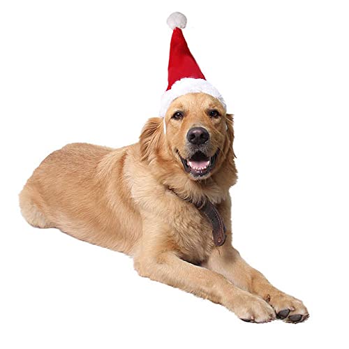 Adjustable Pet Dog Santa Hat Costume 3D Christmas Santa Claus Cap For Large Medium Dogs Cats Xmas Party Dressup Decoration (Large) #TOP2