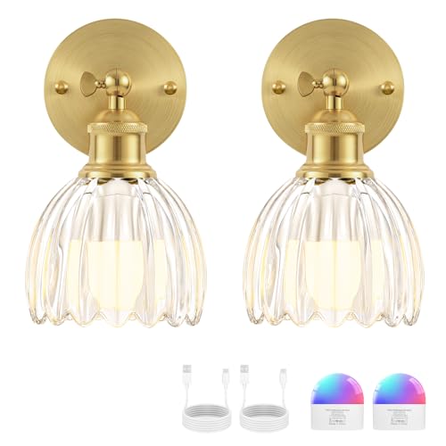 Image of Vintage Battery Operated Wall Sconce, Clear Tulip Glass Lampshade Wireless Rechargeable Battery Powered LED Wall Light with Remote Dimmable for Bedside Bedroom Living Room, Set of 2