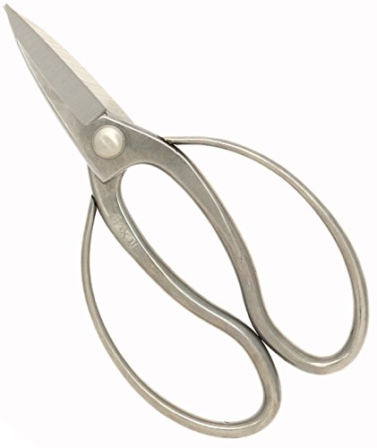 Kotobuki Stainless Steel Japanese Flower Arranging Shears, Nagaba Bonsai