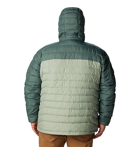 Image of Columbia mens Powder Lite Hooded JacketPowder Lite Hooded Jacket