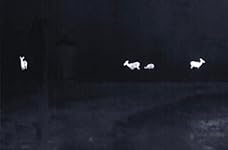 Review Image by BW BW