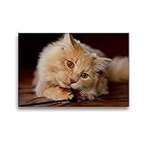 Wasserfest, der Leinwanddruck kann feucht abgewischt werden und ist dadurch auch für Staub-Allergiker geeignet.