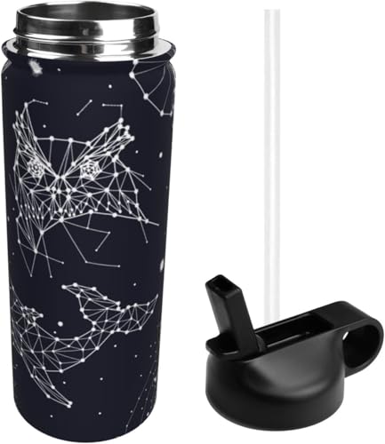 X|[c    XeX{g X|[c{g @r ^fM ۉ|bg e XeX  EH[^[{g  ϗϔM j̎q ̎q AEghA ֗ sp 532ml 蕨 [sAi]