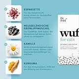 Dr. SAM wufit Cats Tabletten – Ergänzungsfuttermittel zur Unterstützung der Magen-Darm-Funktion nach exklusiver Tierarzt-Rezeptur, für Katzen unter 5kg (1-Monatspackung)