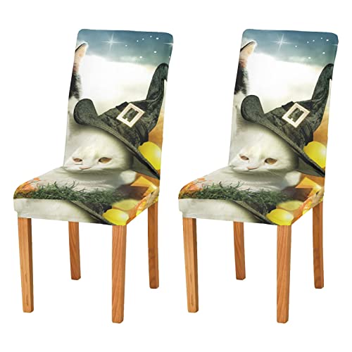 Zwei Katzen Halloween Stuhlhussen Set für Esszimmer Dehnbar Esszimmer Stuhl Schonbezug Restaurant Hotel Abnehmbar Waschbar Küchenstuhl Schonbezug Cover
