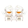 Bar Amigos Set of 2 Brandy & Cognac Snifter Warm Glass Cooper Stand Gift Set with Tea Light & Copper Holder – Premium Drinking Set