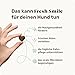 10-in-1 Zahnpflege Leckerli für Hunde - Fresh Smile 120 Snacks (350g) von mammaly - Gegen Mundgeruch, Zahnstein mit Pfefferminz, Seealge, Vitamin C, Petersilie u. v. m. für Maulhygiene, Mundpflege