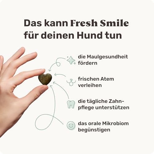 10-in-1 Zahnpflege Leckerli für Hunde - Fresh Smile 120 Snacks (350g) von mammaly - Gegen Mundgeruch, Zahnstein mit Pfefferminz, Seealge, Vitamin C, Petersilie u. v. m. für Maulhygiene, Mundpflege