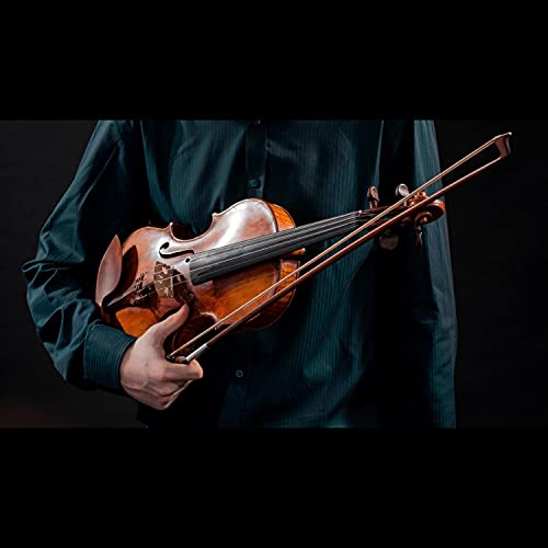 Best Violin Concertos For Auditions Expert Review The Modern Record