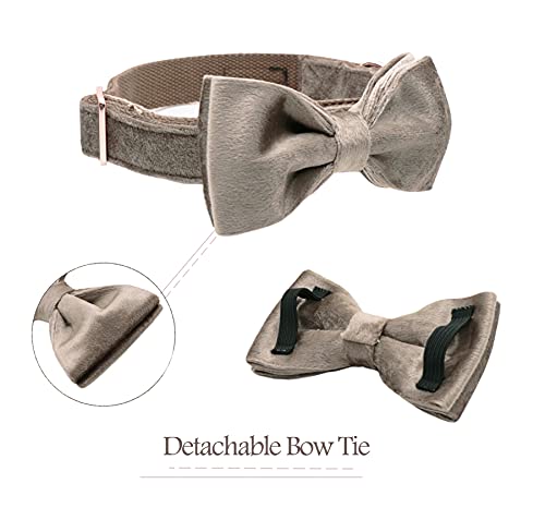ARING PET Velvet Dog Collar-Velvet Bowtie Dog Collars - Image 3