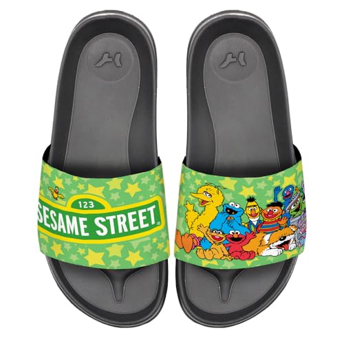 Popfunk Sesame Street Group Unisex Adult Slides Sandals Officially Licensed Hypd Slydr Switch™
