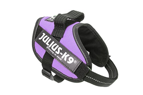 Julius-K9, Pettorina IDC Power, Taglia: S / Mini, Colore: Viola