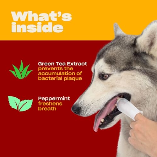 Image of OH NORMAN! Dog Dental Finger Wipes, Fresh Breath, Vet Developed, 50 Ct