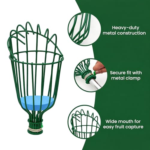 Image of Urban Plant Mango Plucker | Metal Fruit Picker Head | Green | with Sponge | Attaches to Any 1-Inch Pole | Rust-Proof Powder-Coated Iron (Pole Not Included)