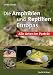 Produktbild Die Amphibien und Reptilien Europas: Alle Arten im Porträt