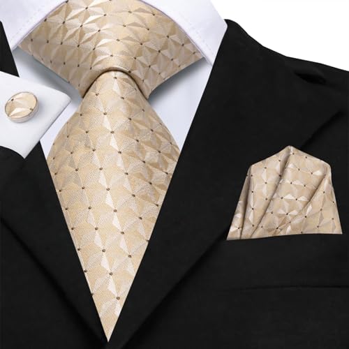 Image of Hi-Tie Men 63inches Tie Set Extra Long Necktie Paisley Tie Pocket Suqare Cufflinks Big and Tall Men Tie