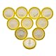 AMTAST Spritzenfilter Hydrophober Nylon Spritzenfilter nicht steril Labor-Spritzenfilter (Nylon, 25MM Durchmesser 0.45 um Porengröße, 10 Stück)