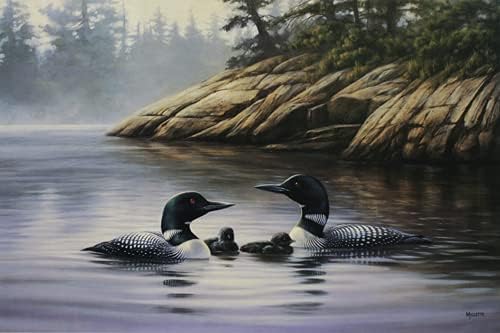 Rosemary Millette - Northern Mist - Loons