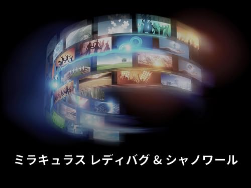 『ミラキュラス レディバグ & シャノワール』